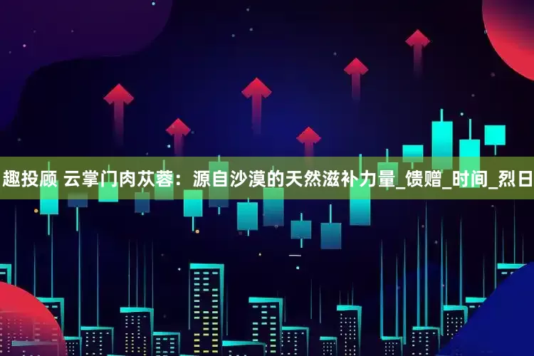 趣投顾 云掌门肉苁蓉：源自沙漠的天然滋补力量_馈赠_时间_烈日