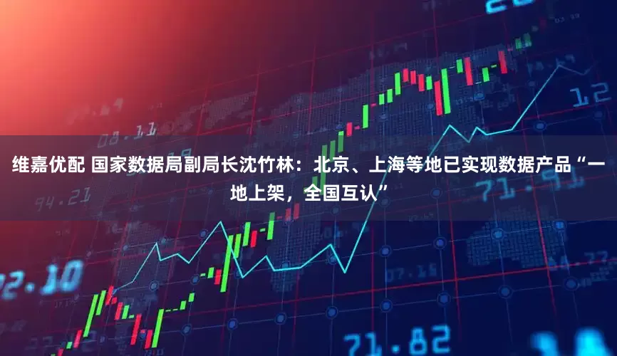 维嘉优配 国家数据局副局长沈竹林：北京、上海等地已实现数据产品“一地上架，全国互认”
