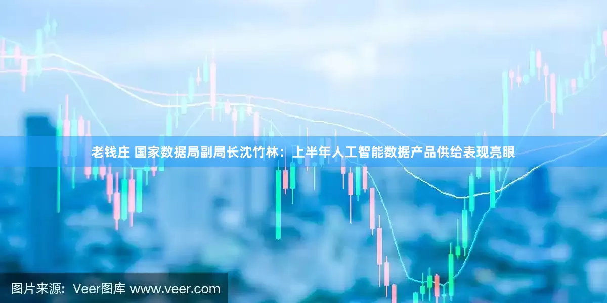老钱庄 国家数据局副局长沈竹林：上半年人工智能数据产品供给表现亮眼